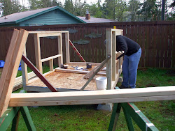 pre cut chicken coop 6