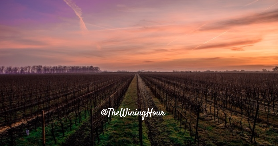 The Wining Hour 7 Rosé's From Long Island Wine Country