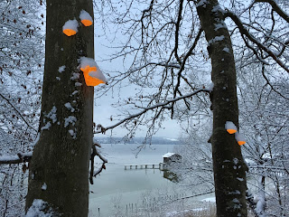 Installation am Ammersee Skulpturenweg