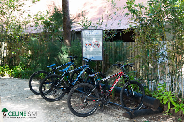 sumilon island biking sumilon island biking trails