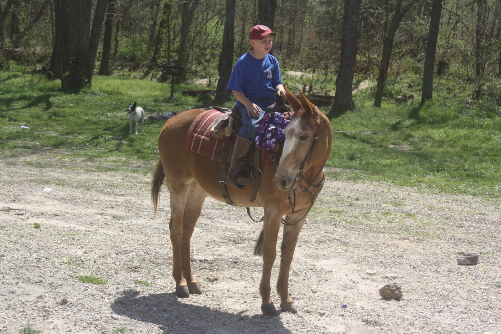 PairADice Mules: Weekend Trail Riding