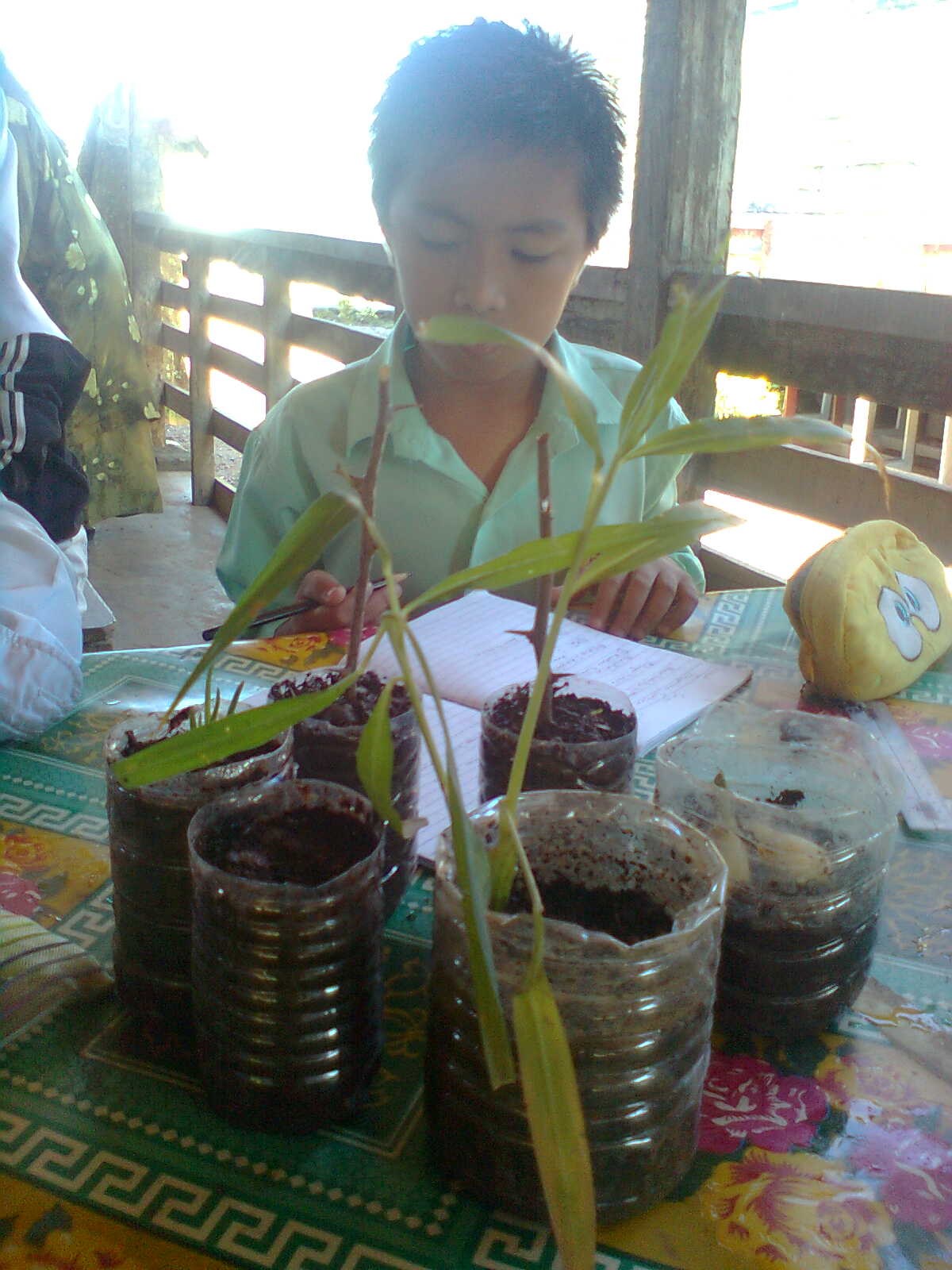 Eksperimen Yis Tahun 6 / Laporan Eksperimen Tahun 6 / Tahun 6 sains