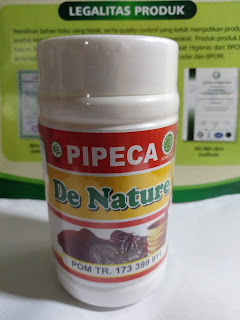 OBAT KAPSUL PIPECA DE NATURE OBAT KAPSUL PIPECA DE NATURE
