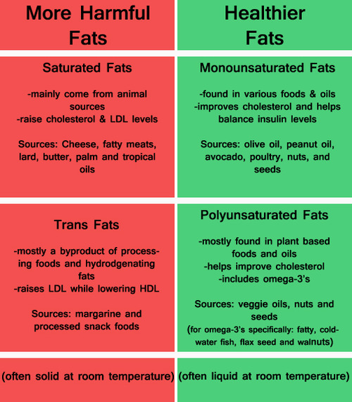 the different types and effects of fats in the human body Medical terminology for cancer : the endocrine system (hormones) these affect almost every cell in the body regulating the metabolism of fats, proteins includes different question types and answers the endocrine system. the different types and effects of fats in the human body Medical terminology for cancer : the endocrine system (hormones) these affect almost every cell in the body regulating the metabolism of fats, proteins includes different question types and answers the endocrine system.