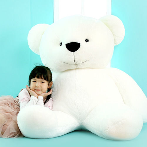 korean bear plush