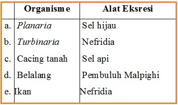BIOLOGI GONZAGA: SOAL EKSKRESI 1
