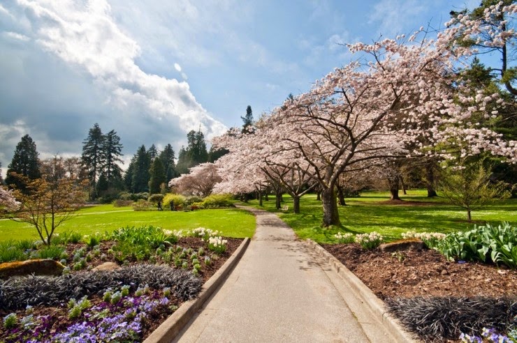 5. Vancouver, Canada - Top 10 Blooming Cities in Spring