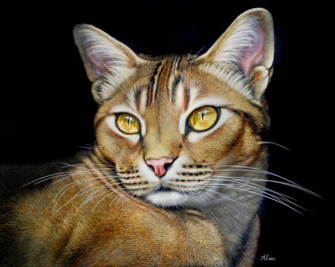 Incredible and Realistic Animal Paintings by Heather Lara