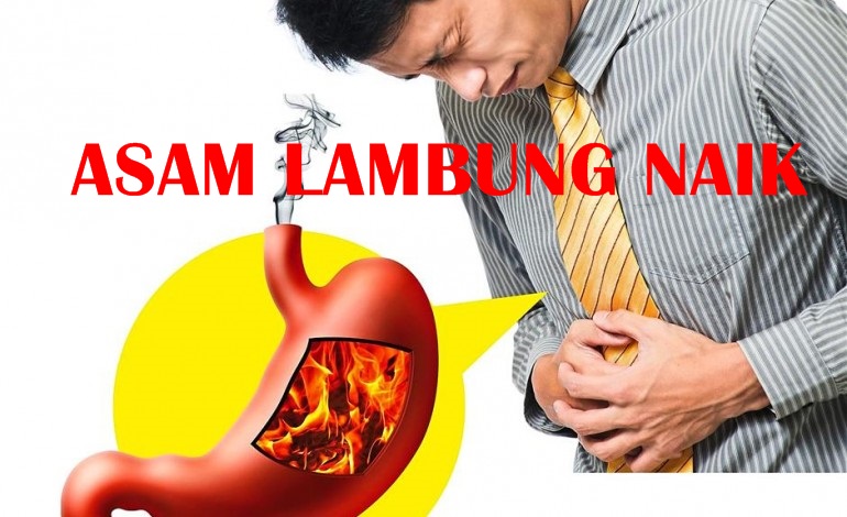 Obat Asam Lambung QNC Jelly Gamat