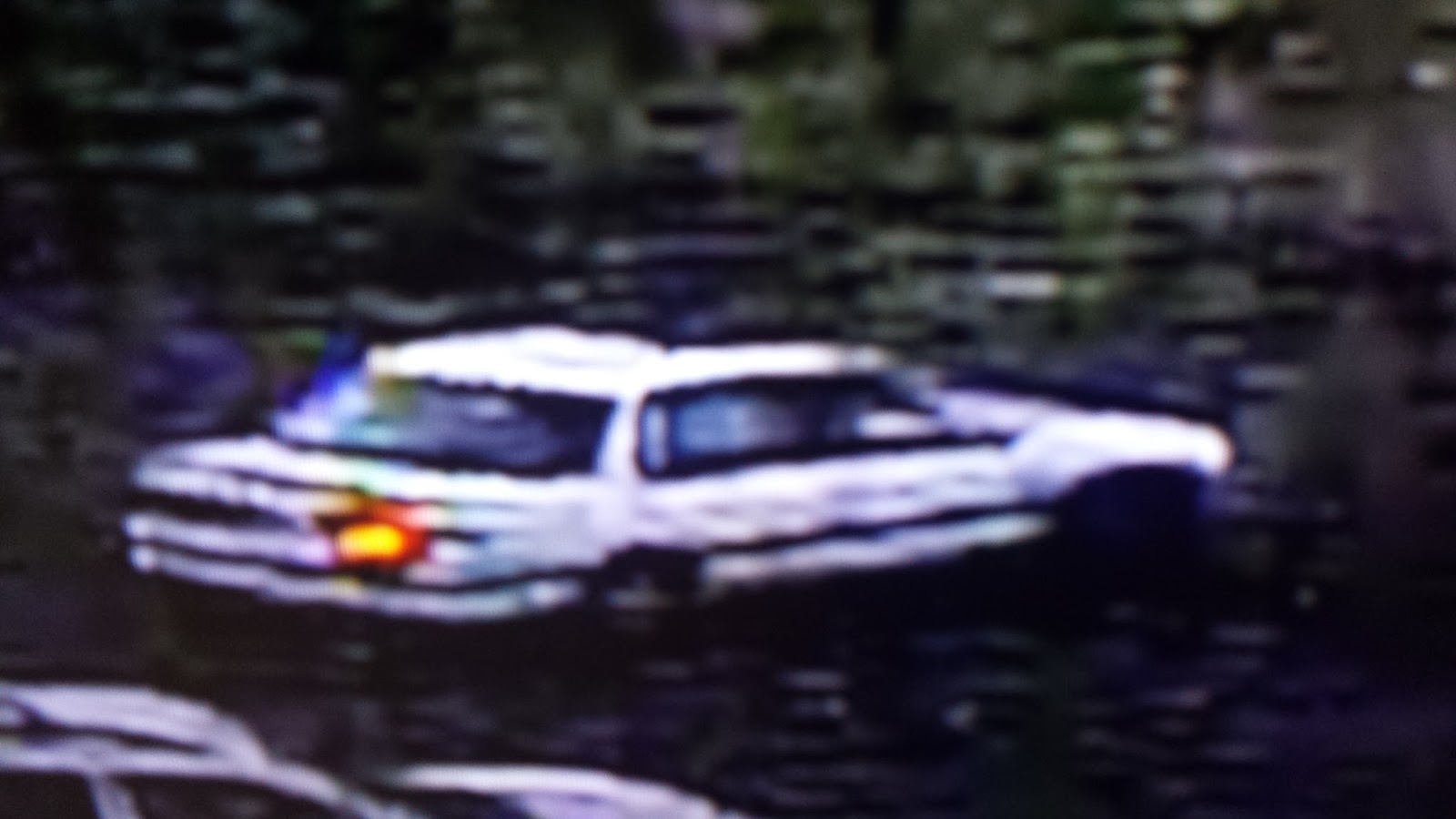 Del Paso Manor Neighborhood Watch