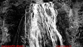 Mount Rainier Narada Falls