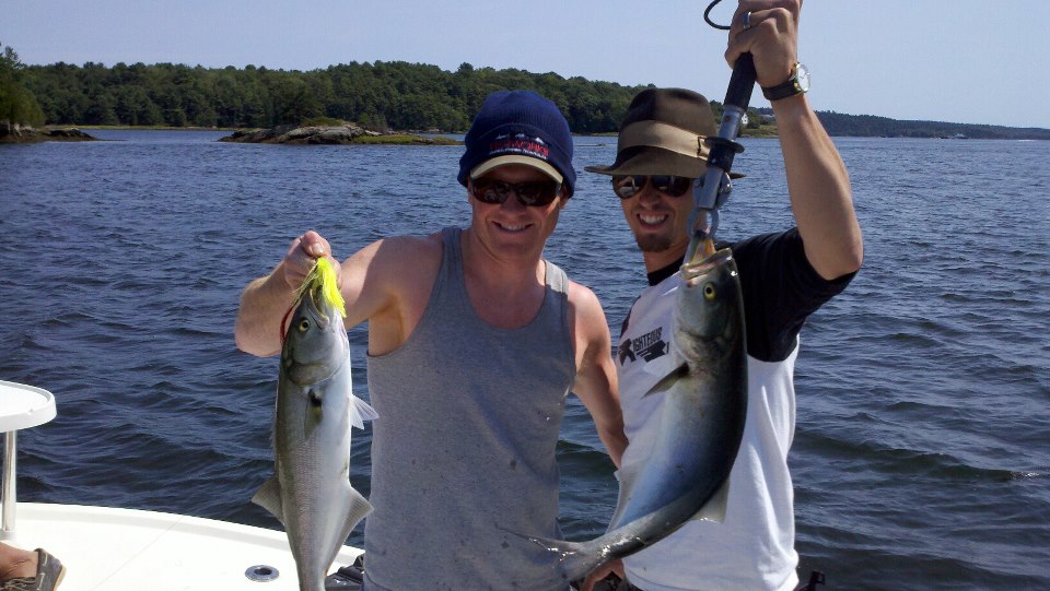 Maine Striper Fishing Charters & Reports Hotline 2076910745 Maine Striper Fishing Report