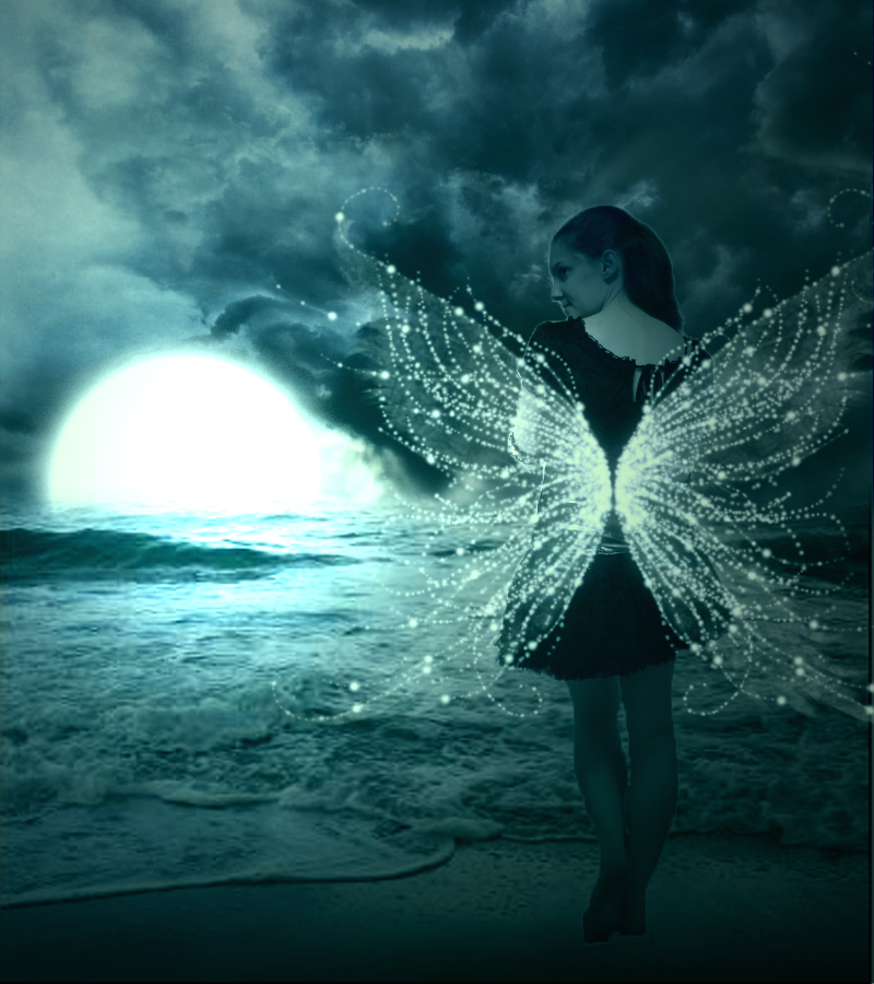 My Image 33
