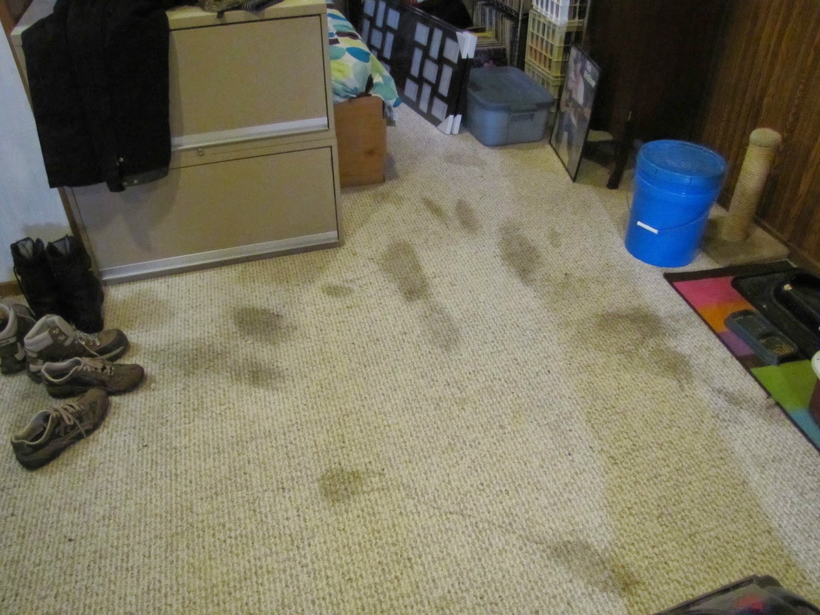 How to remove pet stains from carpet