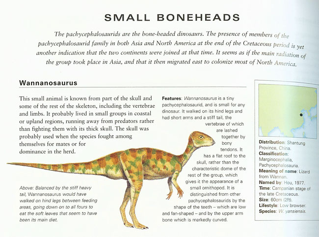 wannanosaurus coloring pages - photo #36