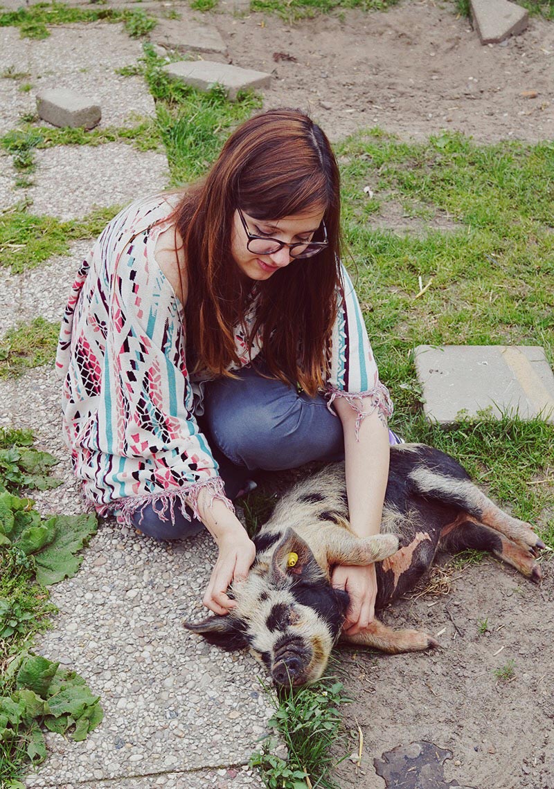 KuneCoco • Lemsdale Kune Kunes • Jenni schmust ein Kune Kune Ferkel KuneCoco • Lemsdale Kune Kunes • Jenni schmust ein Kune Kune Ferkel