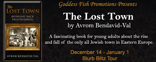 http://goddessfishpromotions.blogspot.com/2015/11/blurb-blitz-lost-town-by-avrom-bendavid.html