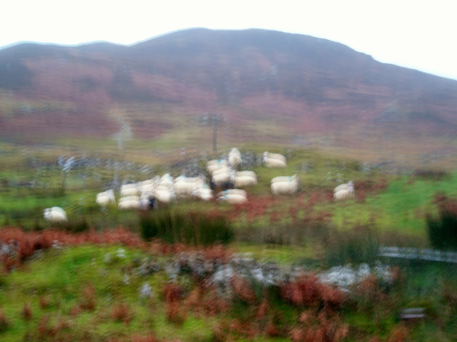 CraigardCroft One Hundred Mile An Hour Winds