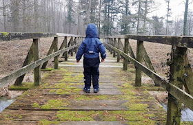 5 Ausflugsziele für Familien im Norden von Als. Im Dänemark-Urlaub gehören auch Wald-Ausflüge dazu!