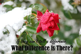 If they can't tell a difference, what difference is there?