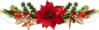 Imágenes, Frases y Reflexiones: Nochebuenas navideñas en png