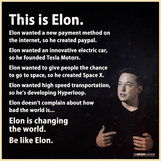 The Eco - Senior: Elon Musk
