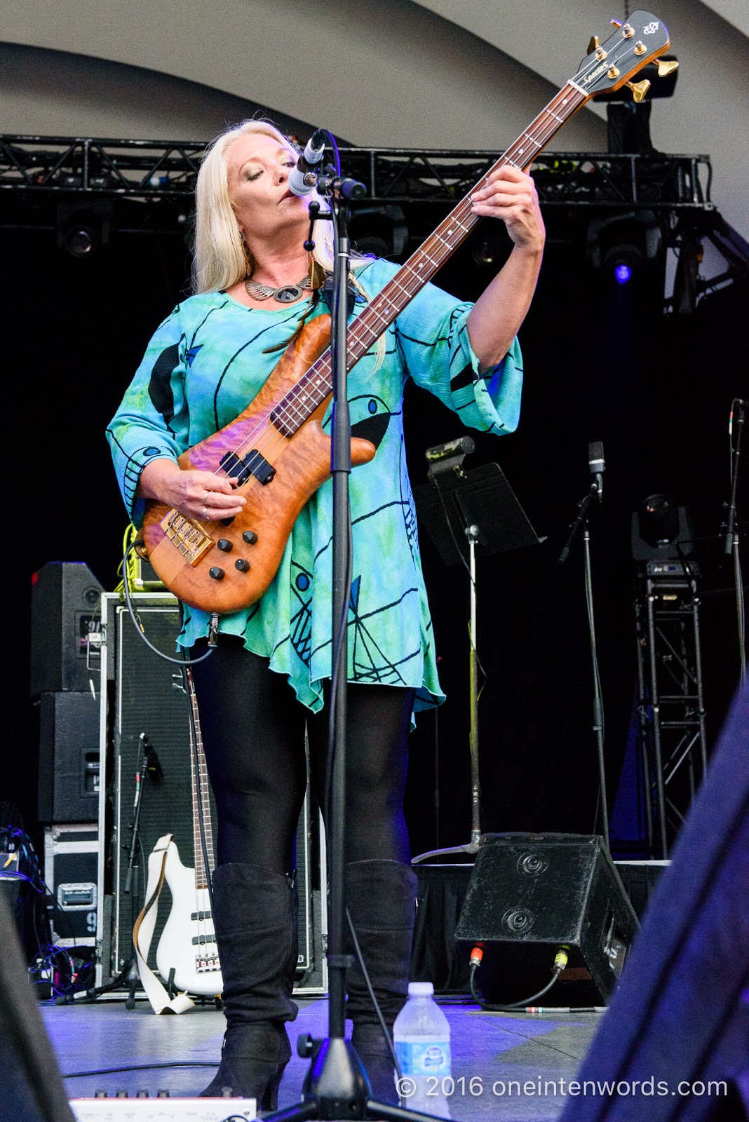 one in ten words The Ex 2016 The Spoons at The Bandshell Concert