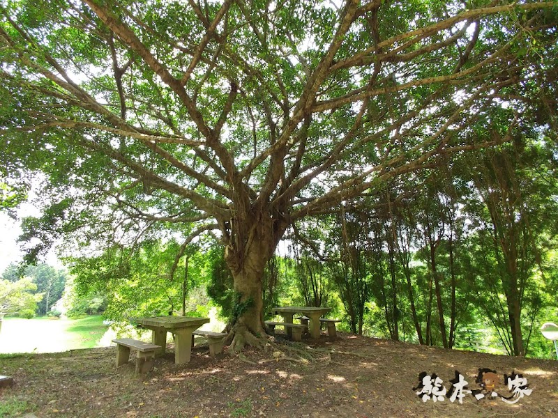 苗栗婚紗IG打卡景點|教堂廣場-飛牛牧場|寬敞露營營地設有盥洗區烤肉區好便利