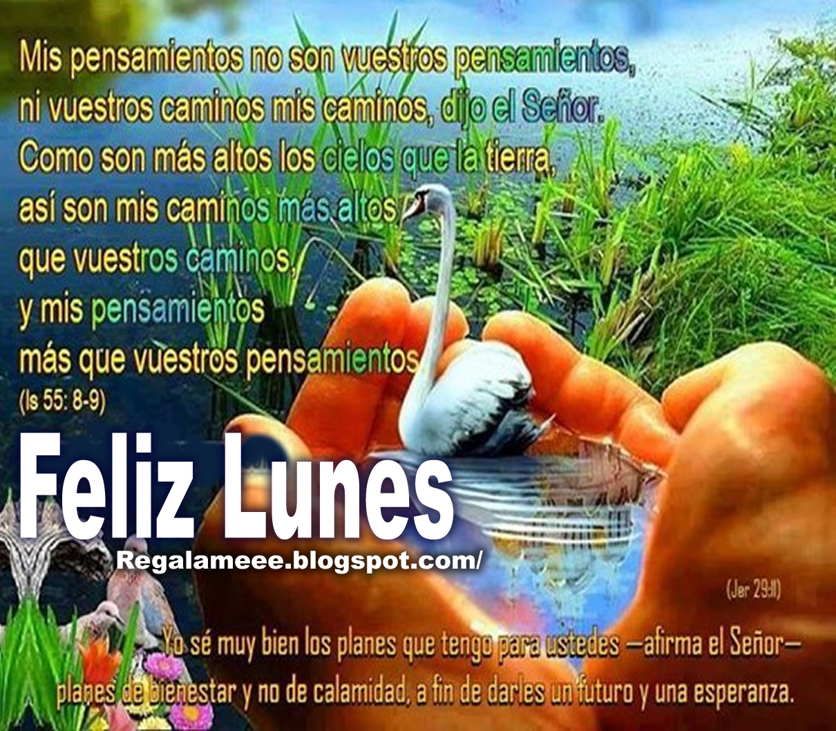 Feliz Lunes Dios te bendiga y te guarde, Dios te proteja hoy mañana y
