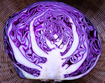 Kobis-purple-cabbage