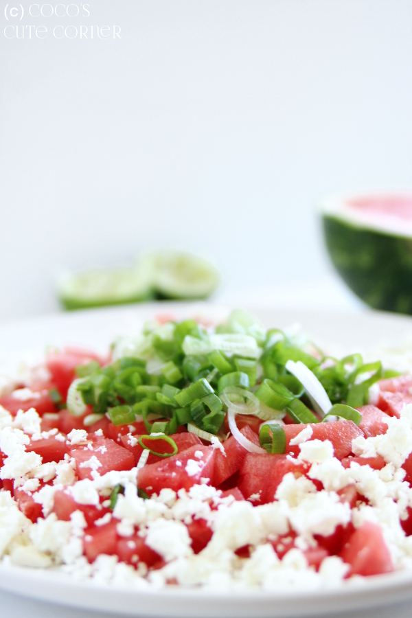 Coco&amp;#39;s Cute Corner: Wassermelonensalat mit Feta - Sommer auf dem Teller