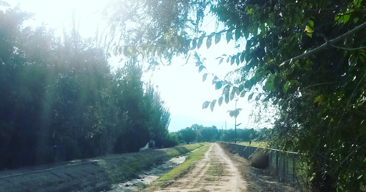 Where to run El Paso Edition