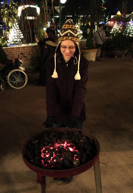 Copenhagen in November