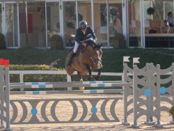 skaczacy_kon_zawody_Arezzo_moja_toskania