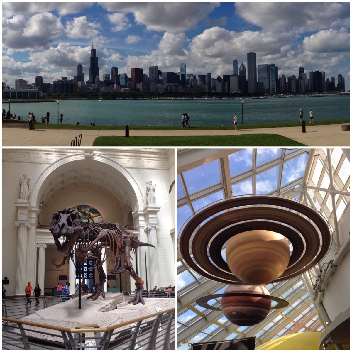 The Field Museum Sue the T-Rex Adler Planetarium Chicago