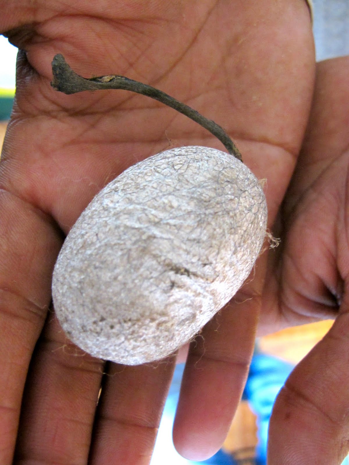 AtelierOM AHIMSA......& silk