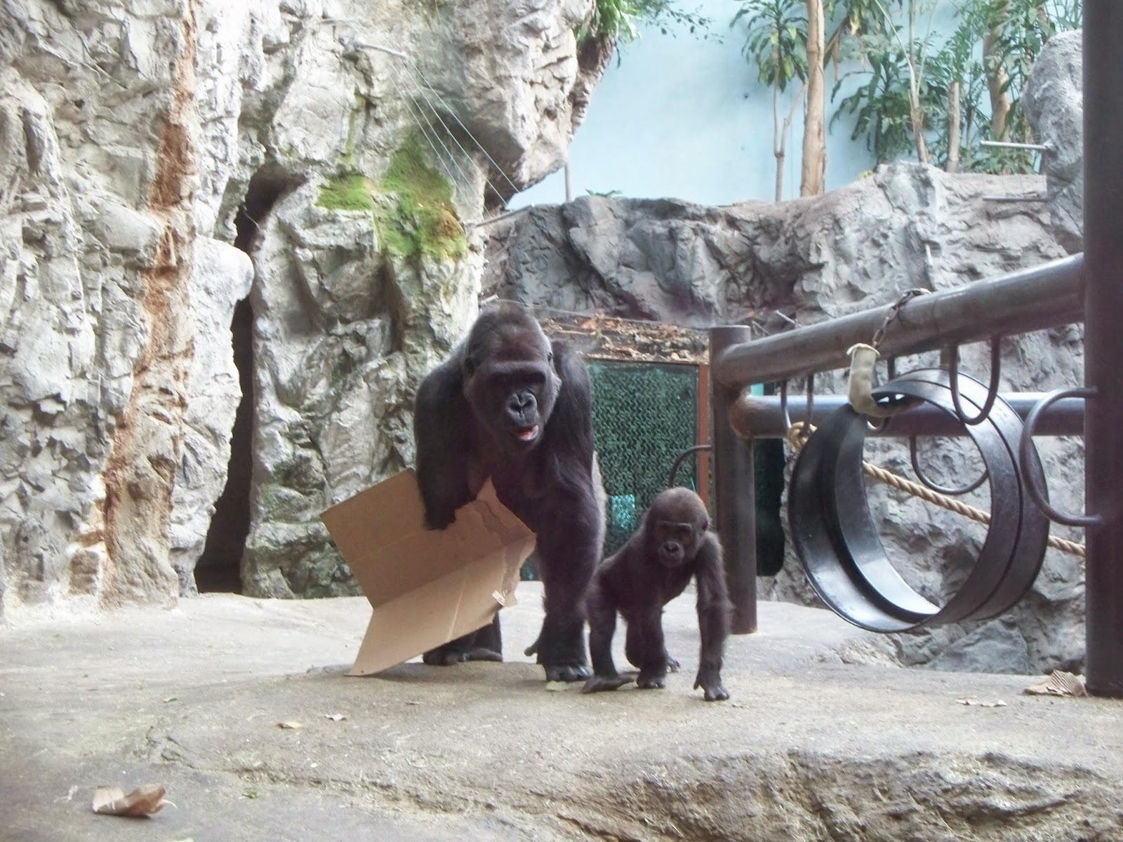 Explore Western New York A visit to the Buffalo Zoo earlier this week