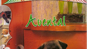 Capa para tu perrito