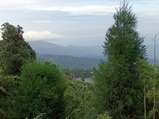 Darjeeling Photos