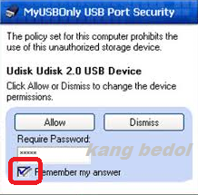 Cara Mudah Memproteksi USB Port Di Komputer