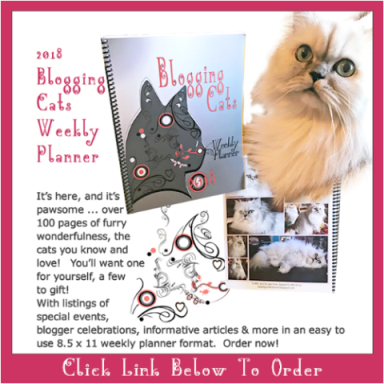 blogging cats weekly planner|lulu.com