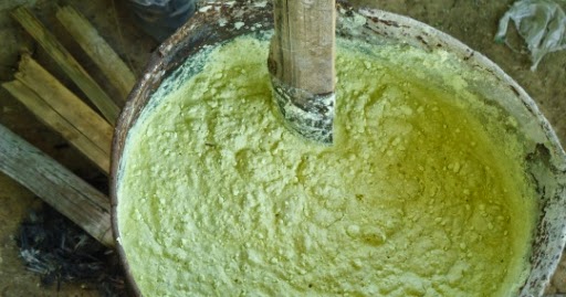 Asal mula pestisida | Cemara Tujuh