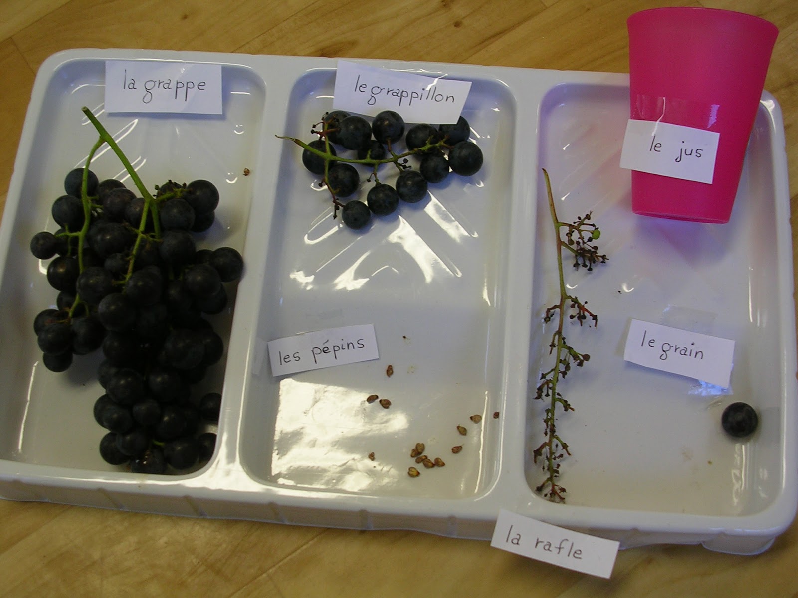 Ecole de Filot: Les raisins en maternelle