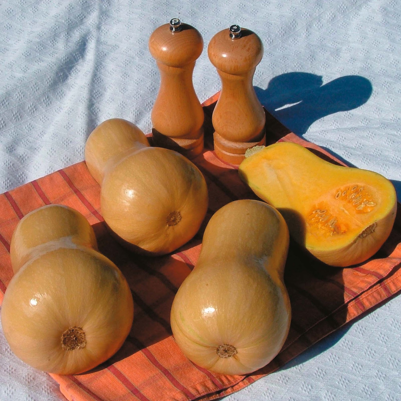 HOW TO GROW BUTTERNUT SQUASH FROM SEED The Garden of Eaden