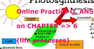 Online Practice Q_ANS on CHAPTER => 6 (life processes )
