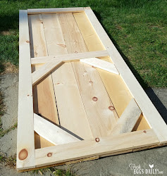 sliding door barn chicken install coop why pine natural stain decide couldn whether paint end leave