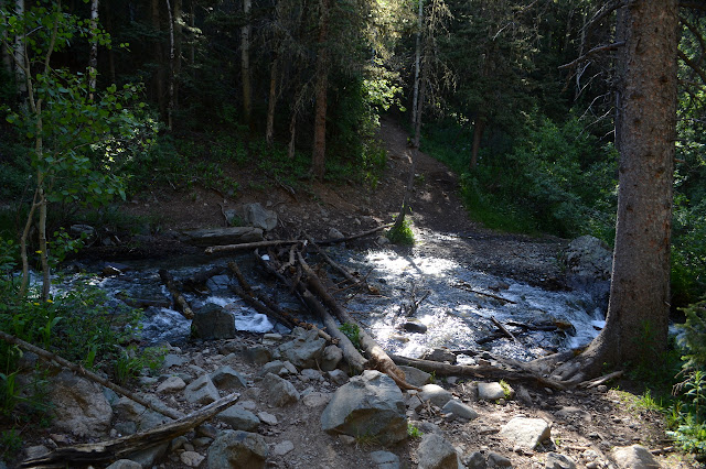 crossing on a pair of logs
