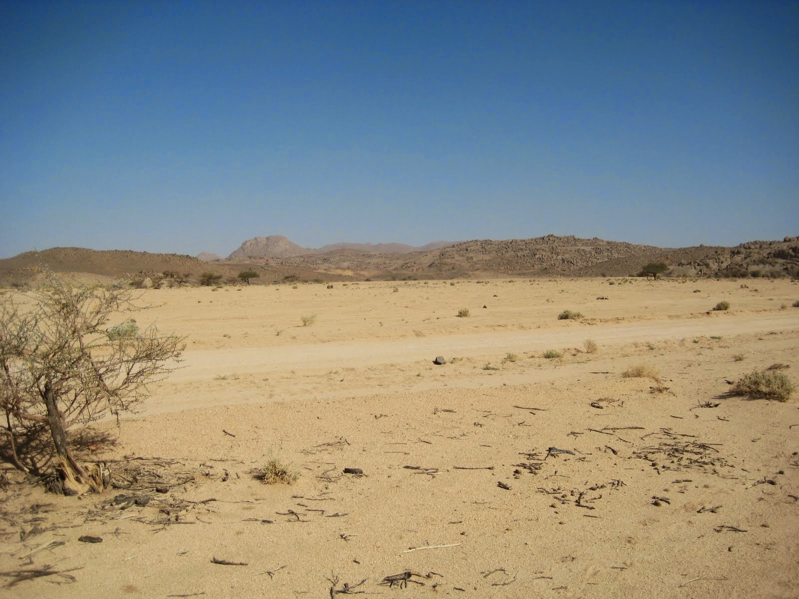 Il suolo, caratteristiche della sua composizione e capacità di