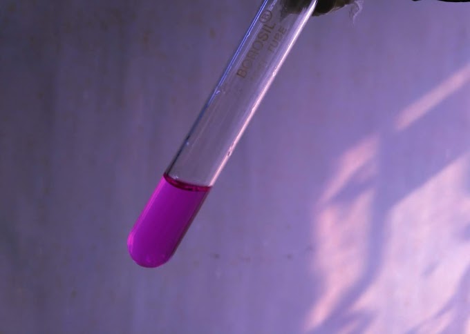 Identify of Rubber Polymer