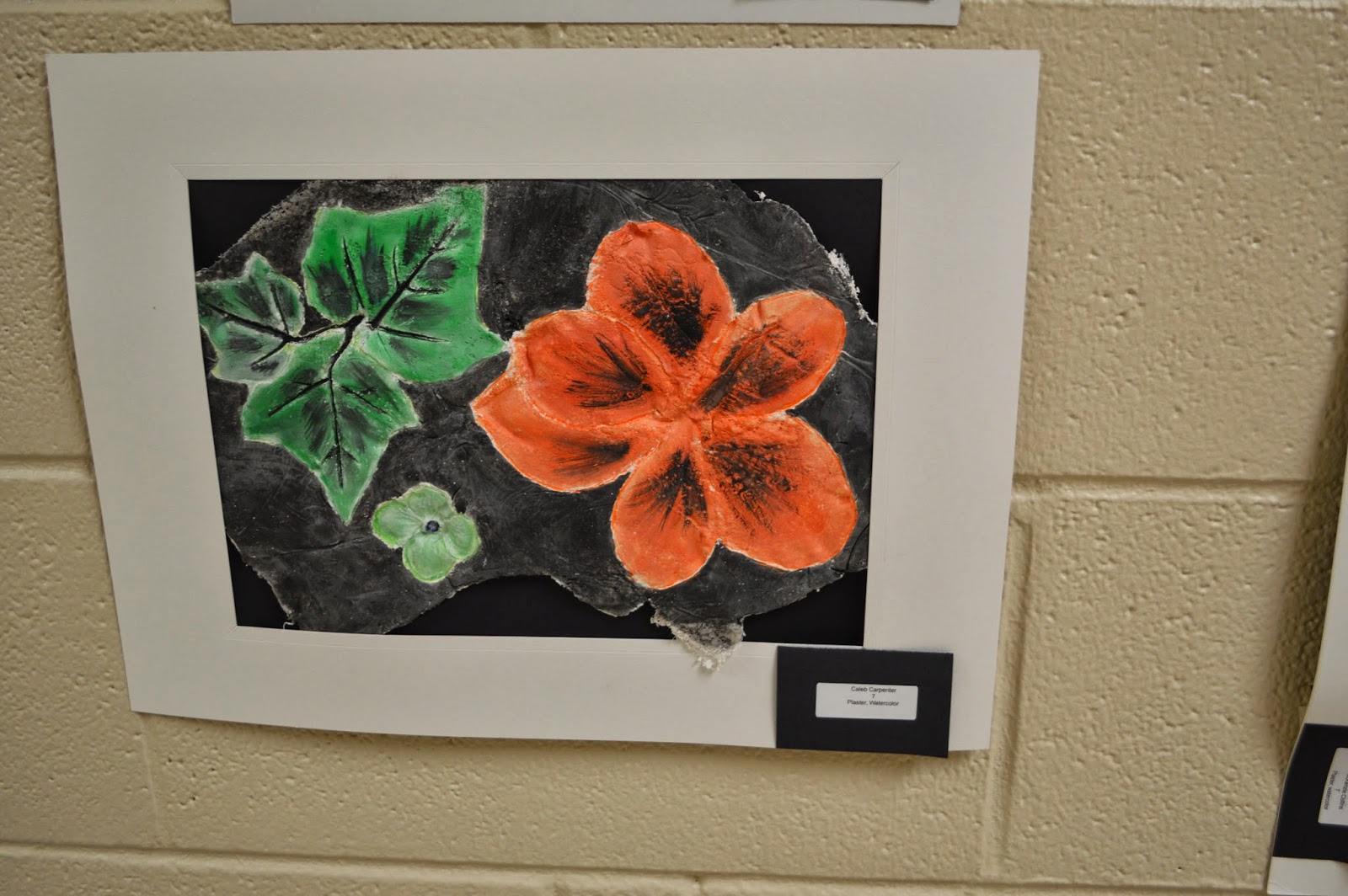 Lesson Plans Botanical Illustrations